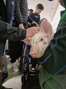 10f5d586 7384 4096 a10f 8172f5924e74