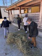 4b4f1ce5 2ea3 4dfe a67b 0a28797d7222