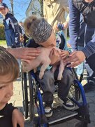 558b1ab7 4025 4a2d 9a90 3ec596443fae