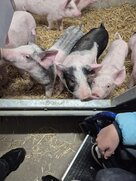 6aaabaa4 df34 44b2 b7f2 0ed1adaacb72