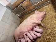 b6d3f34a f088 4e9e 9daa c5d8084d2afa