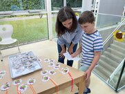 IMG 7381