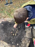 3bba506d e4ce 499c b130 170ddc90a2f2