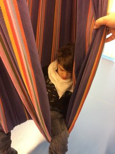 IMG 535